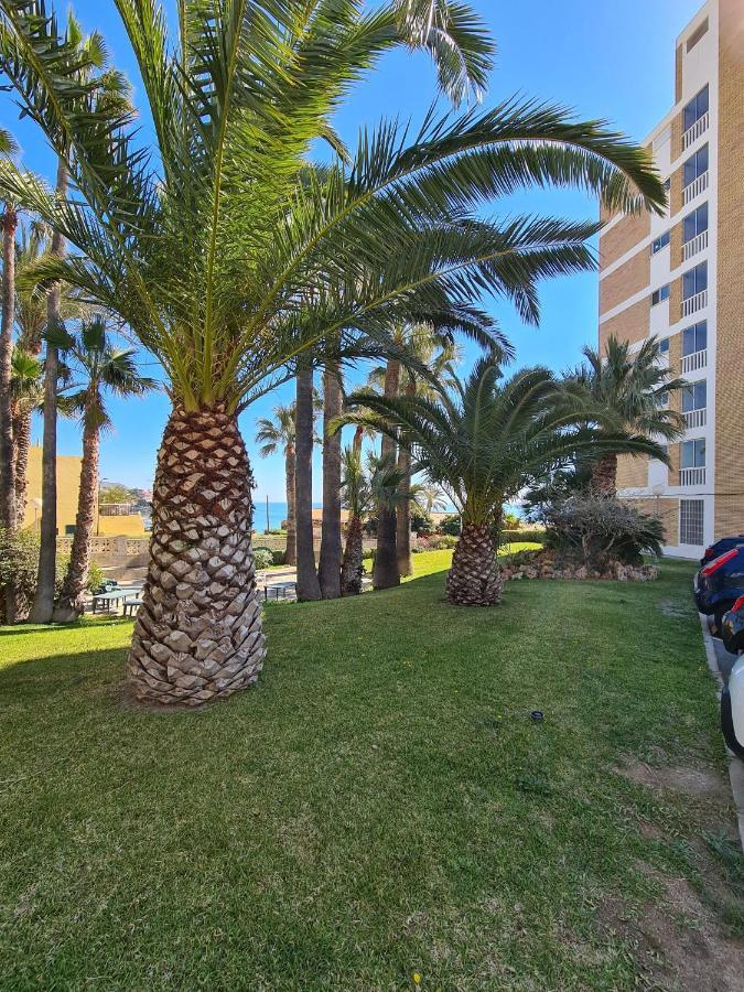Room In Apartment - 1St Line Top Floor Apartment Carrer del Mar Exteriör bild
